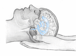Circulating cerebro-spinal fluid in craniosacral therapy